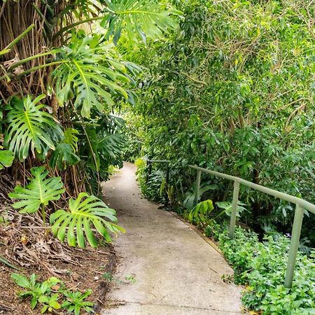Hatea Treehouse วานกาไร ภายนอก รูปภาพ