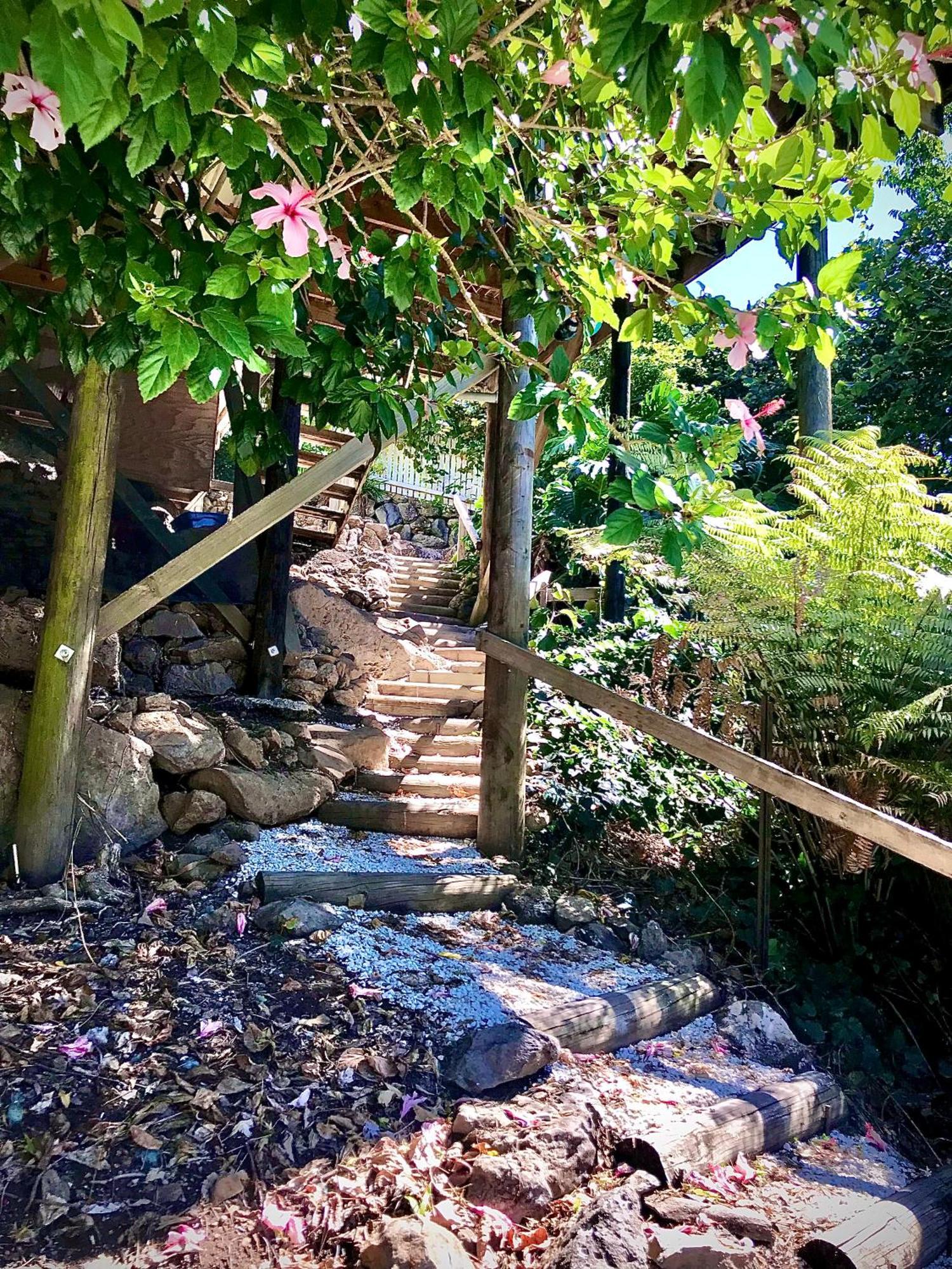 Hatea Treehouse วานกาไร ภายนอก รูปภาพ